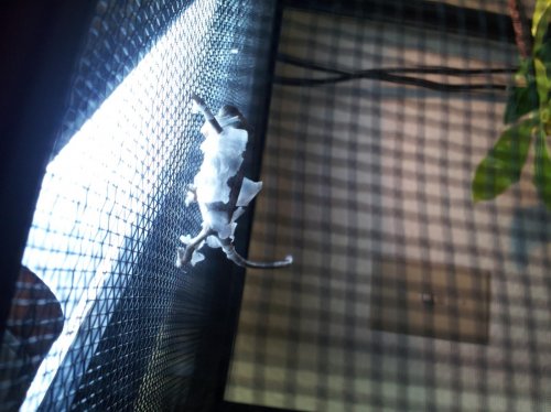 2012-10-10 17.00.52.jpg