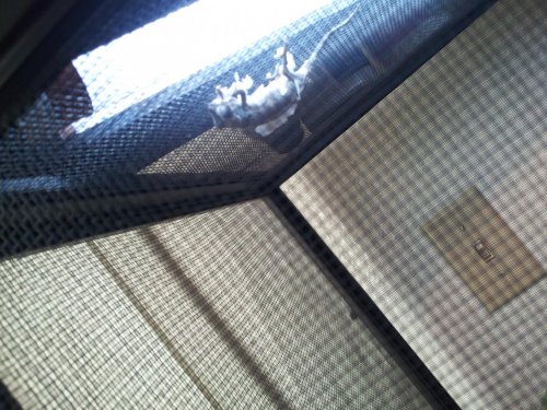 2012-10-10 17.00.22.jpg