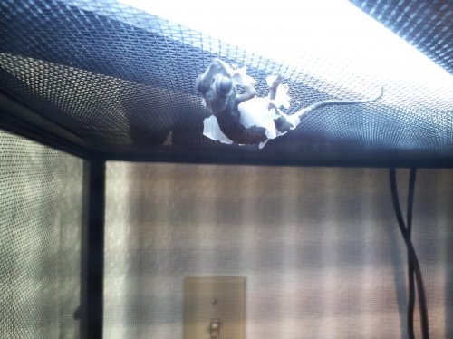 2012-10-10 17.00.13.jpg