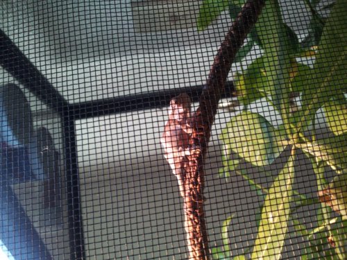 2012-10-10 16.21.52.jpg