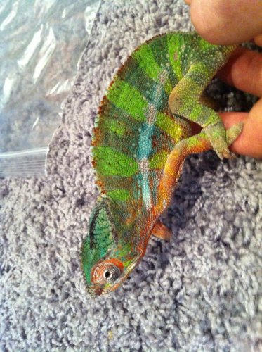 october 11`````matt phone 058.jpg