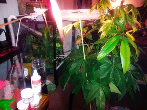 2012-10-12 20.46.34.jpg