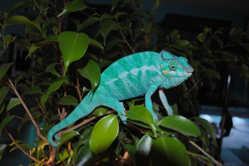 DSC_0776.jpg