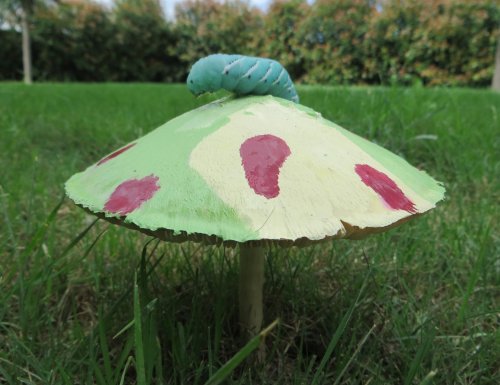 Hornworm_Mushroom.jpg