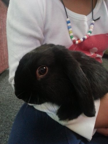 2012-10-13 14.20.53.jpg