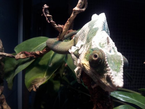 Rango 6 mths.jpg