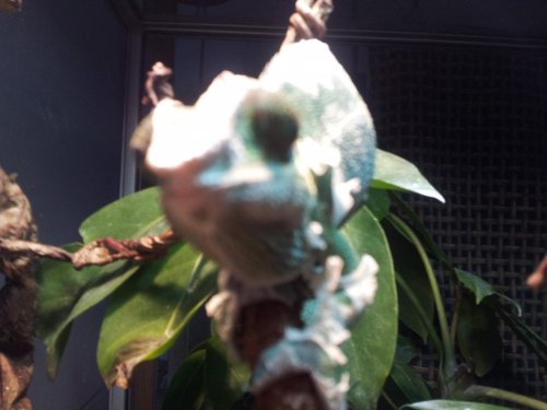 20121015_172018.jpg