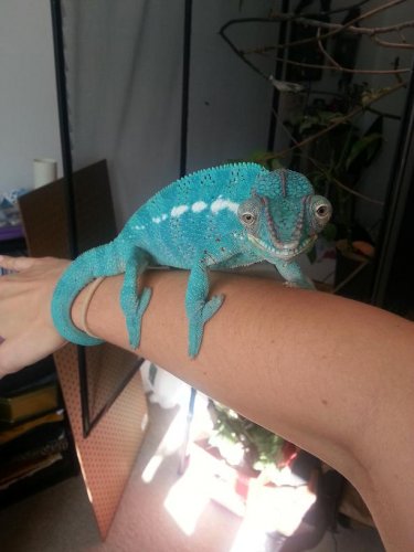 20120909_170043.jpg