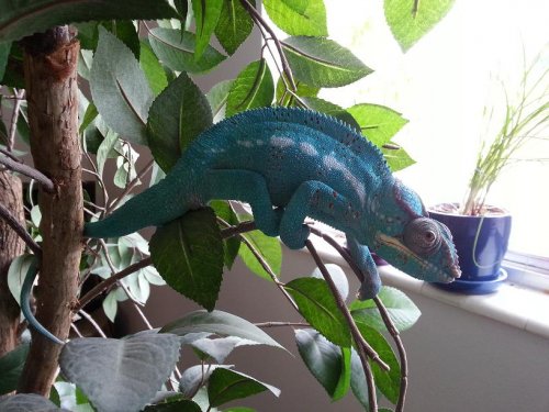20121013_115603.jpg