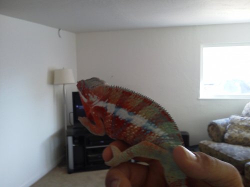 IMG_20121019_114657.jpg