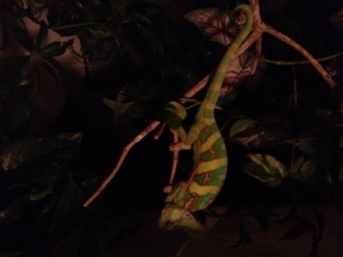 photo(8).JPG