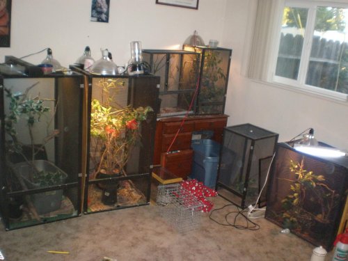 Sept2012 038.jpg