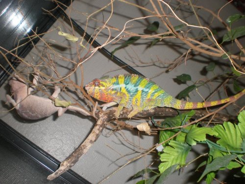 summer beging 047.jpg