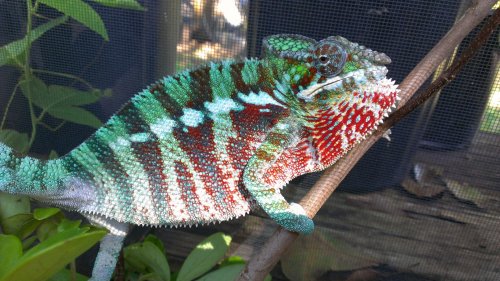 2012-10-20 14.05.40.jpg