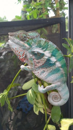 2012-10-16 17.47.34.jpg