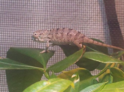 2012-10-21 17.28.00.jpg