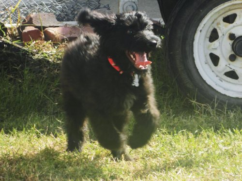Kaizer.jpg