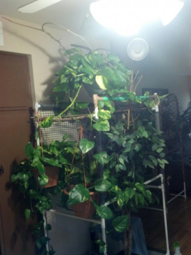 indoor fr3.jpg