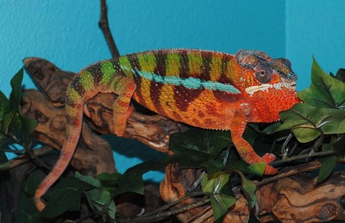 DSC_0637.jpg