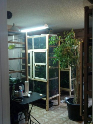 enclosures.jpg