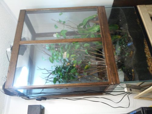 2012-10-22 20.03.23.jpg