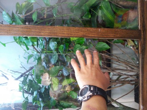 2012-10-22 20.03.57.jpg