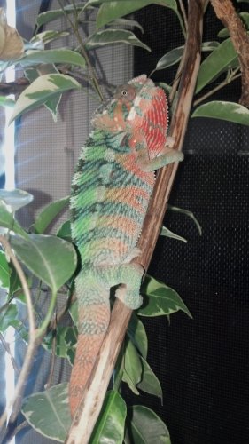 2012-10-23_17-25-26_581.jpg