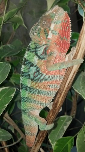 2012-10-23_17-26-24_688.jpg