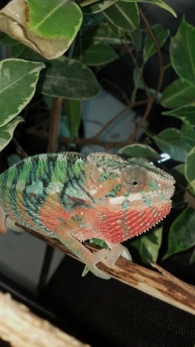 2012-10-23_17-26-49_288.jpg