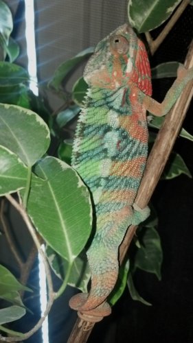 2012-10-23_17-28-42_107.jpg
