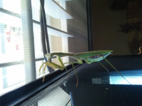 2012-10-21 13.54.32.jpg