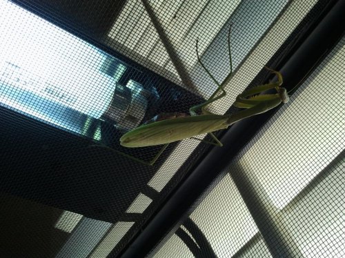 2012-10-21 13.54.43.jpg