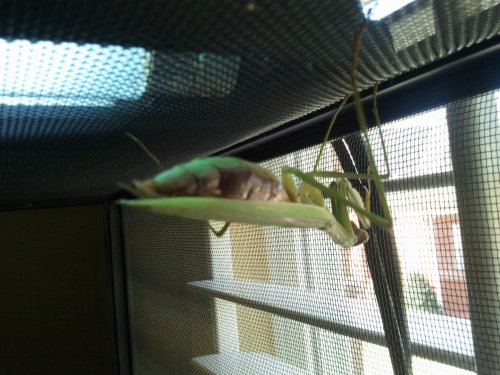 2012-10-21 13.54.50.jpg