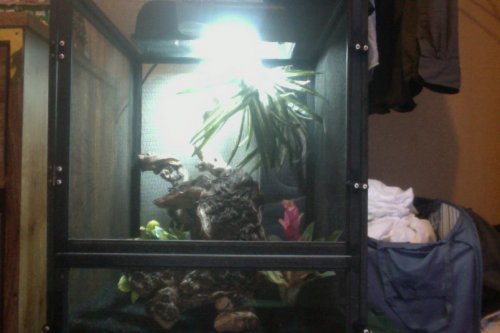 Photo on 10-24-12 at 4.43 PM.jpg