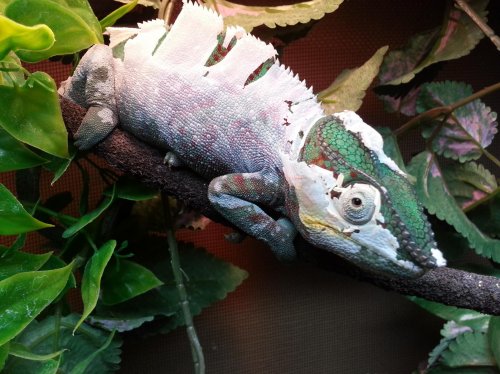 2012-10-23 10.33.53.jpg