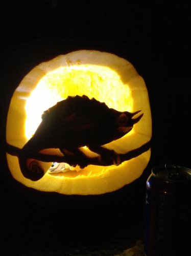 Rex Pumpkin.jpg