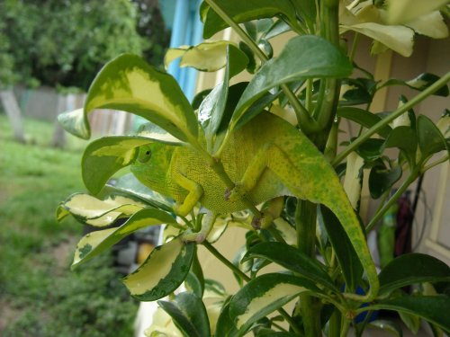 DSCN1795.jpg