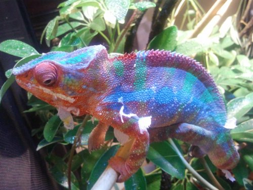 2012-08-24 14.42.47.jpg