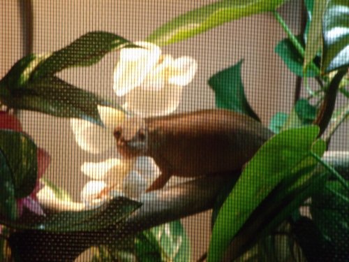 SUMMER VACATION 2012 003.jpg