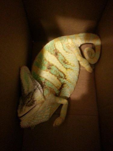 2012-10-28 18.59.59.jpg