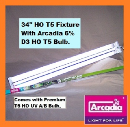 34 t5 arcadia 6a.jpg