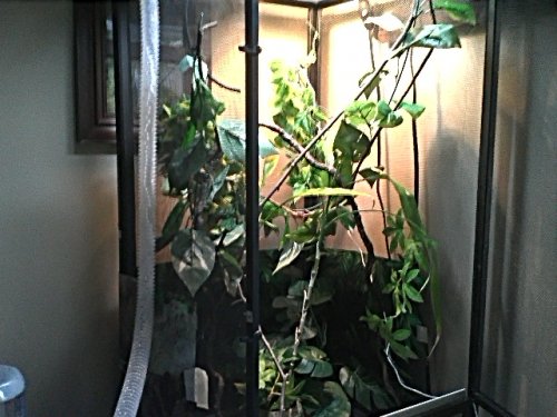 IMG248.jpg