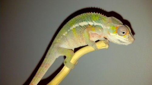 2012-10-30_21-11-52_272.jpg