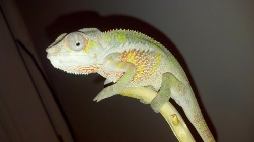 2012-10-30_21-13-25_508.jpg