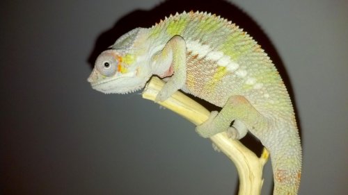 2012-10-30_21-12-17_165.jpg