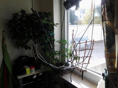 2012-11-01 12.02.10.jpg