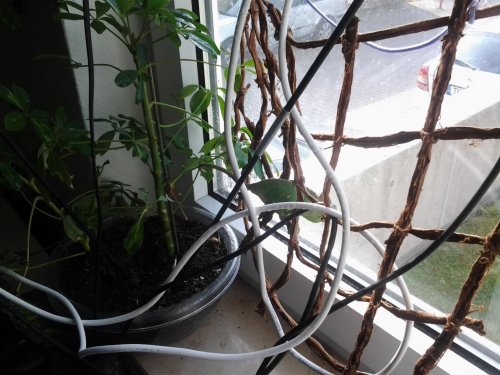 2012-11-01 12.02.17.jpg