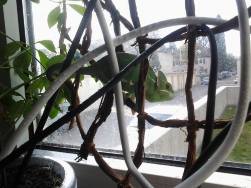 2012-11-01 12.02.34.jpg