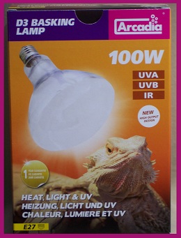 100 w Bulb.jpg