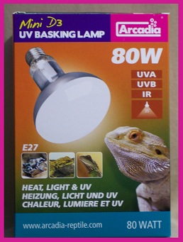 80 w bulb.jpg